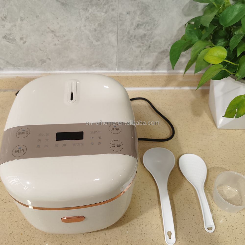 Japanese Camping Cooking - Mini-cuiseur électrique portable multifonction 1L de