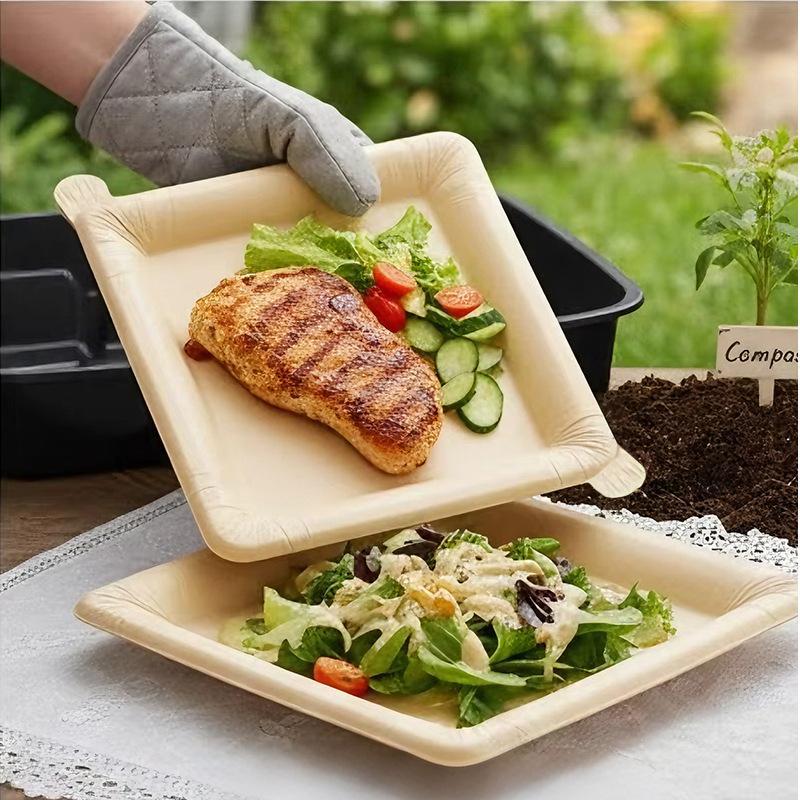 Assiettes en papier jetables d - Camping Cooking Disc avis et prix