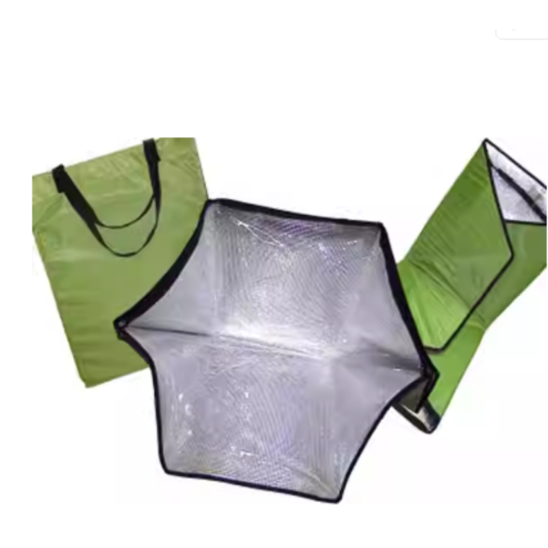 Cuiseur de sac de four solaire - Solar Oven Camp avis et prix